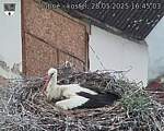 Capi_Dubne_20250528_164503.jpg