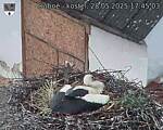 Capi_Dubne_20250528_174503.jpg