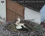 Capi_Dubne_20250528_195004.jpg