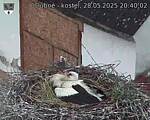 Capi_Dubne_20250528_204002.jpg