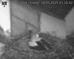 Capi_Dubne_20250528_211002.jpg