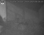 Capi_Dubne_20250529_002033.jpg
