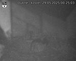 Capi_Dubne_20250529_002503.jpg