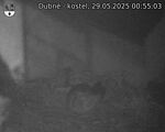 Capi_Dubne_20250529_005503.jpg