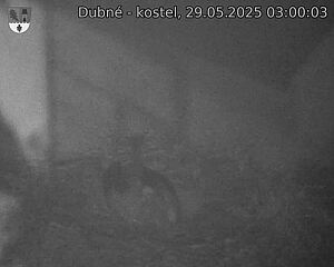 Capi_Dubne_20250529_030003.jpg (1350 x 1080)