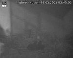 Capi_Dubne_20250529_034503.jpg