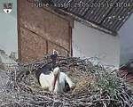 Capi_Dubne_20250529_143004.jpg