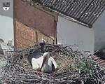Capi_Dubne_20250529_144503.jpg