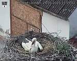 Capi_Dubne_20250529_150503.jpg