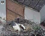 Capi_Dubne_20250529_151003.jpg