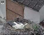 Capi_Dubne_20250529_153504.jpg