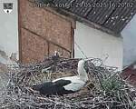 Capi_Dubne_20250529_162002.jpg