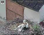 Capi_Dubne_20250529_174002.jpg