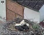 Capi_Dubne_20250529_183502.jpg