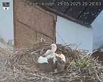 Capi_Dubne_20250529_202003.jpg