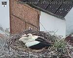 Capi_Dubne_20250529_204003.jpg