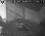 Capi_Dubne_20250529_214003.jpg