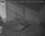 Capi_Dubne_20250529_235002.jpg