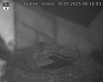 Capi_Dubne_20250530_001003.jpg