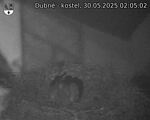 Capi_Dubne_20250530_020502.jpg