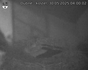 Capi_Dubne_20250530_040002.jpg (1350 x 1080)