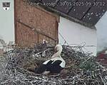 Capi_Dubne_20250530_093002.jpg