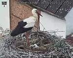 Capi_Dubne_20250530_112502.jpg