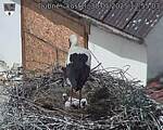 Capi_Dubne_20250530_125503.jpg