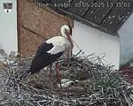 Capi_Dubne_20250530_133502.jpg