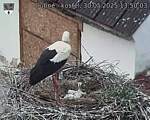 Capi_Dubne_20250530_135003.jpg