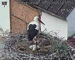 Capi_Dubne_20250530_140503.jpg