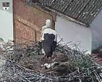 Capi_Dubne_20250530_143002.jpg