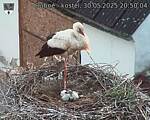 Capi_Dubne_20250530_205004.jpg