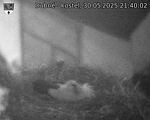 Capi_Dubne_20250530_214002.jpg