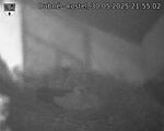 Capi_Dubne_20250530_215502.jpg