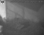 Capi_Dubne_20250530_233003.jpg