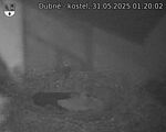 Capi_Dubne_20250531_012002.jpg