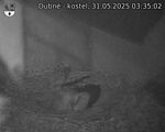 Capi_Dubne_20250531_033502.jpg