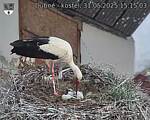 Capi_Dubne_20250531_151503.jpg