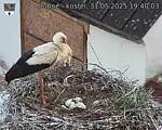 Capi_Dubne_20250531_194003.jpg