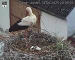 Capi_Dubne_20250531_200503.jpg