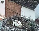 Capi_Dubne_20250531_210503.jpg