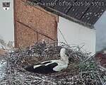 Capi_Dubne_20250601_065503.jpg