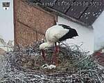 Capi_Dubne_20250601_085502.jpg