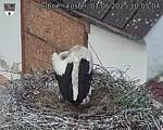 Capi_Dubne_20250601_100504.jpg
