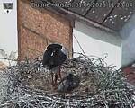 Capi_Dubne_20250601_112004.jpg