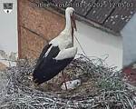 Capi_Dubne_20250601_120503.jpg