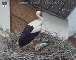 Capi_Dubne_20250601_122004.jpg