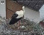 Capi_Dubne_20250601_122502.jpg