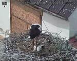 Capi_Dubne_20250601_130002.jpg